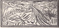 contes_p126
