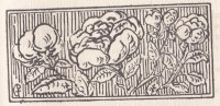 contes_p49
