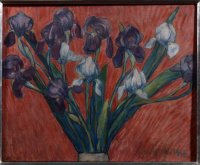 iris17