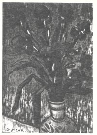 irisfo05
